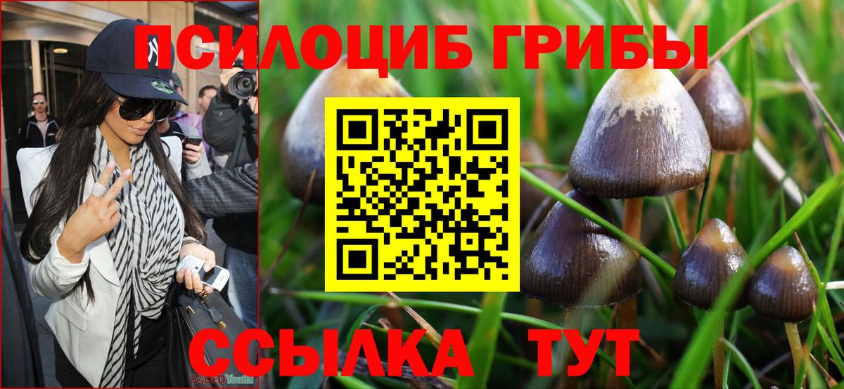 Галлюциногенные грибы Psilocybine cubensis  Вход с VPN  где продают наркотики  Псилоцибиновые грибы ЛСД  Грозный 